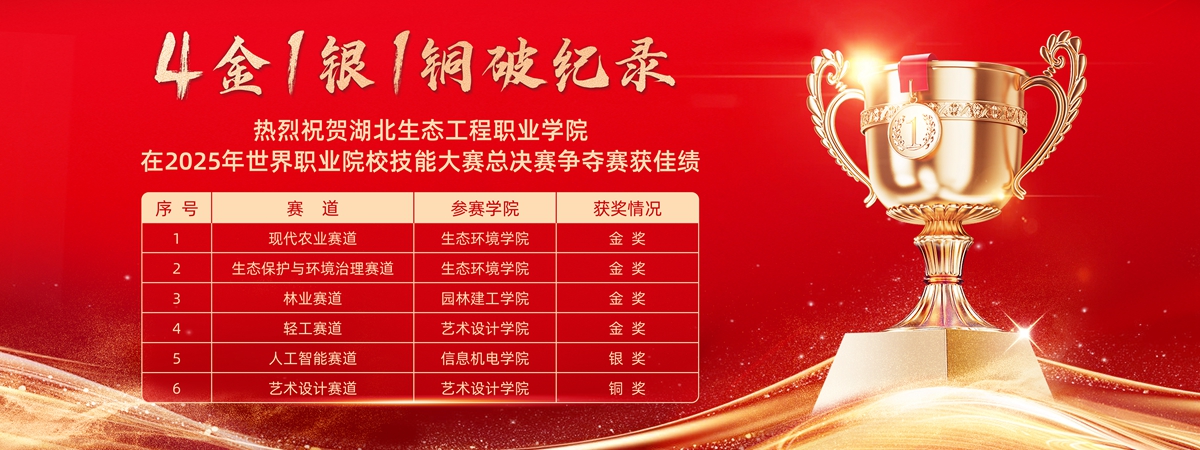 2025世界职业院校技能大赛创创佳绩