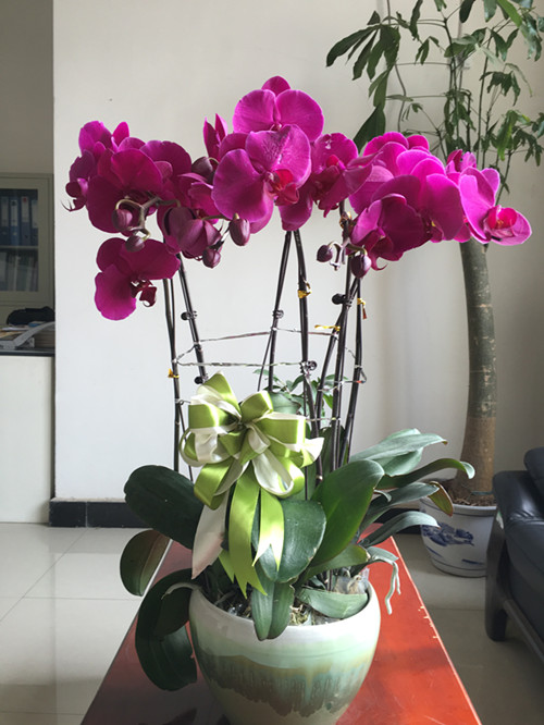 IMG_1646_副本.jpg IMG_1646_副本.jpg