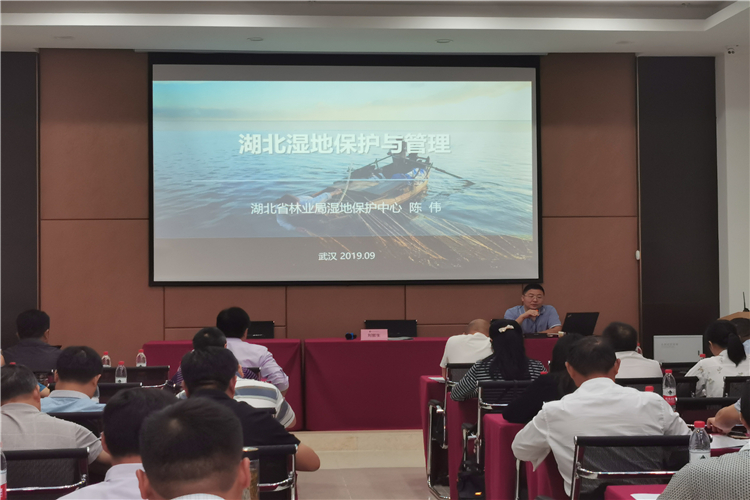 1607135830429239.jpg 湖北湿地保护与管理 (2).jpg