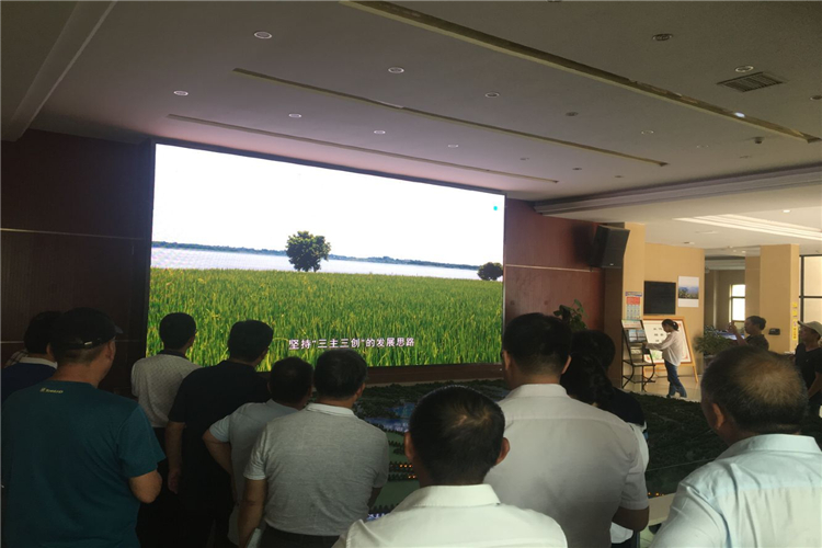 1607135845733119.jpg 赤龙湖现场学习4.jpg