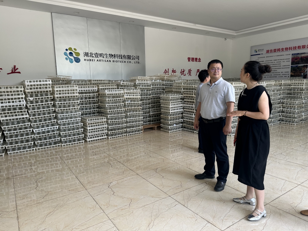 1747879941909384.jpg IMG_1097_副本.jpg
