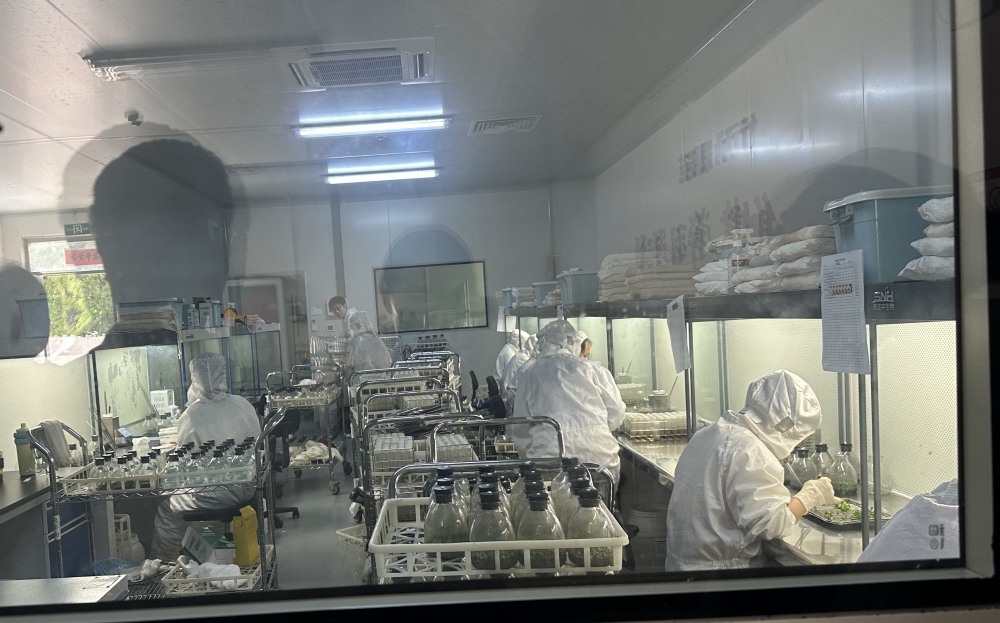 1747880011936348.jpg IMG_1109_副本.jpg