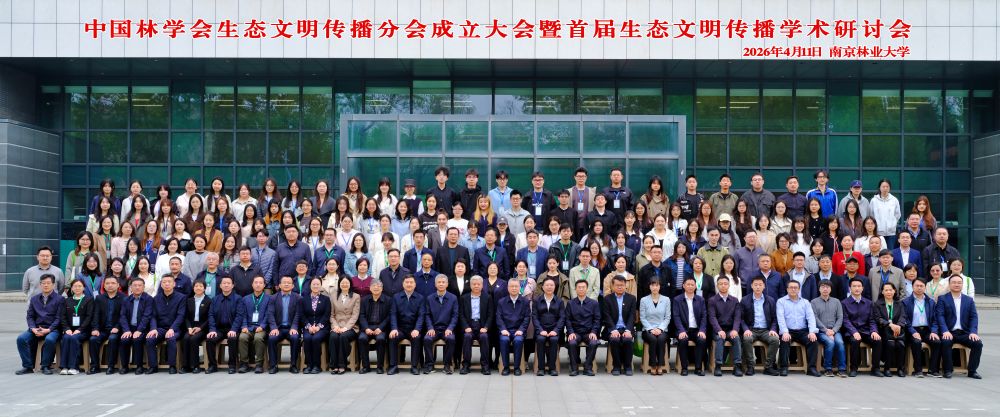 1775906500411772.jpg 3.jpg